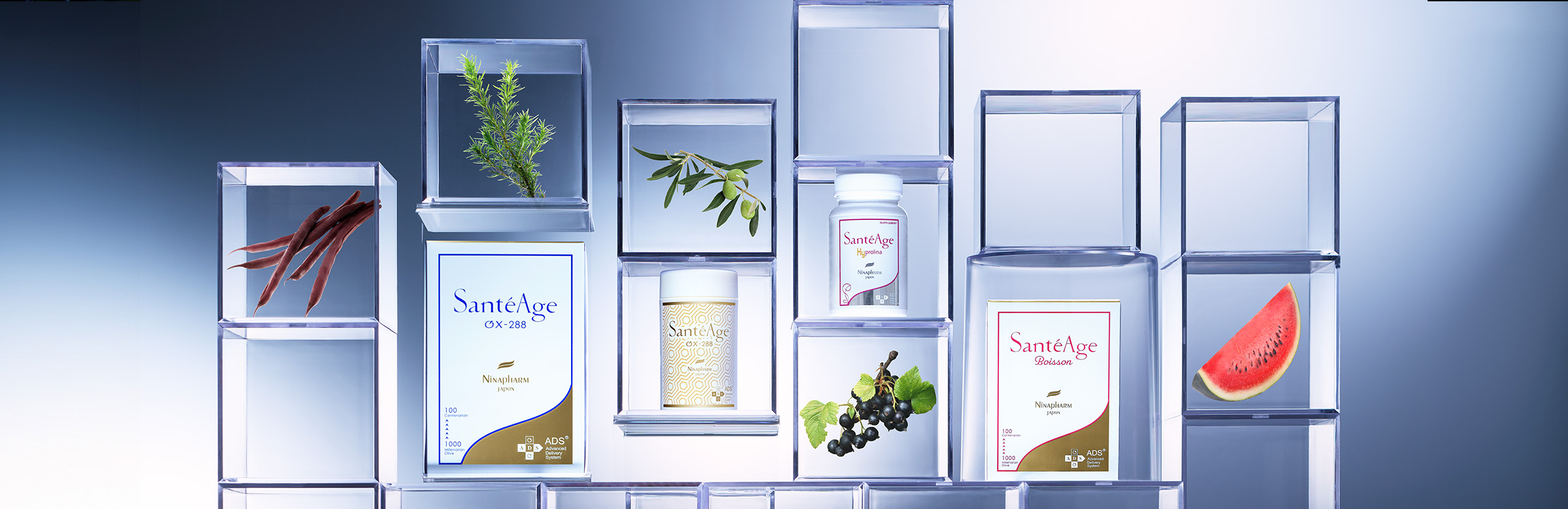 SantéAge [サンテアージュ] - NINAPHARM JAPON｜ポジティブ