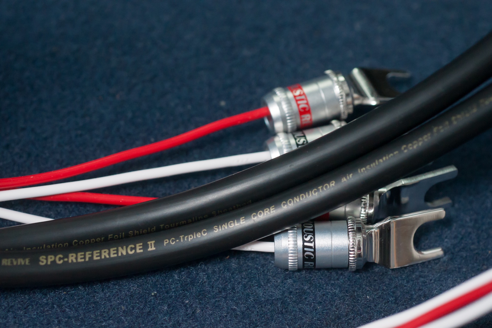 ACOUSTIC REVIVE SPC-REFERENCE-tripleC レビュー | MacBSの日常生活的日記