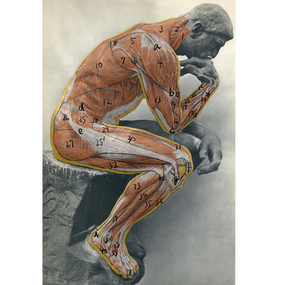 名画・名彫刻の美術解剖学 | SBクリエイティブ