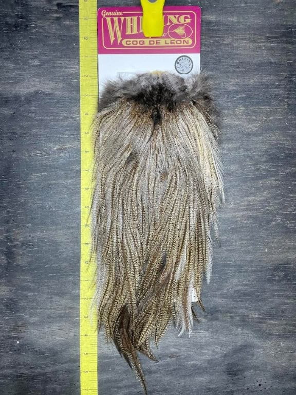 Whiting Coq De Leon Rooster Saddle for Sale | Slide Inn