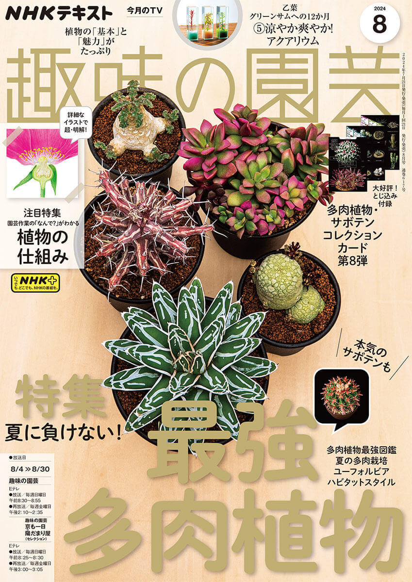 趣味の園芸』2024年8月号の紹介～夏に負けない！最強多肉植物