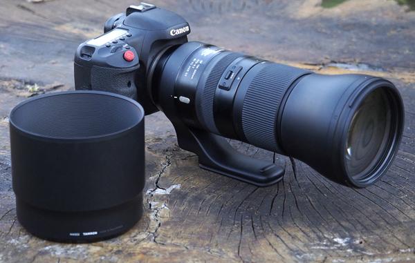 Tamron SP 150-600mm f/5-6.3 Di VC G2 Super Telephoto Zoom Lens