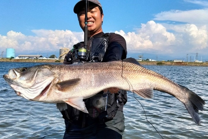 モンスターキス蜃気楼 Shinkirow NEW DAWN 810/94MS ニュードーン