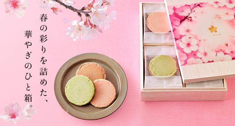 2024年9月限定チーズサンド「濃厚ピスタチオ」 えびとチーズの専門店