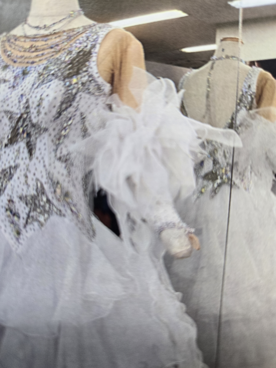 社交ダンスドレスのリサイクル 【公式】社交ダンスドレス通販