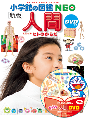 新版］人間 DVDつき | 小学館の図鑑NEOシリーズ | 小学館