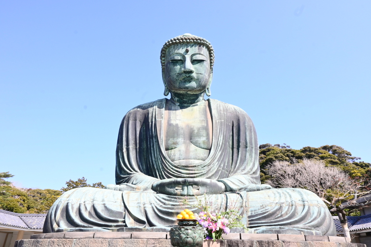 注目は右の頬 ～高徳院 鎌倉大仏～ - かまふち