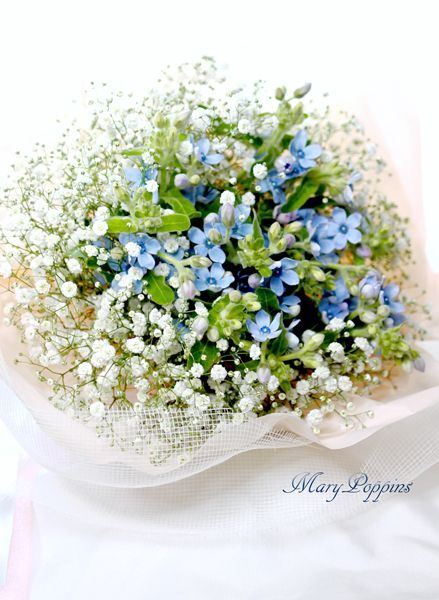 ブルースターとかすみ草の花束・happy love｜フラワーギフトMaryPoppins