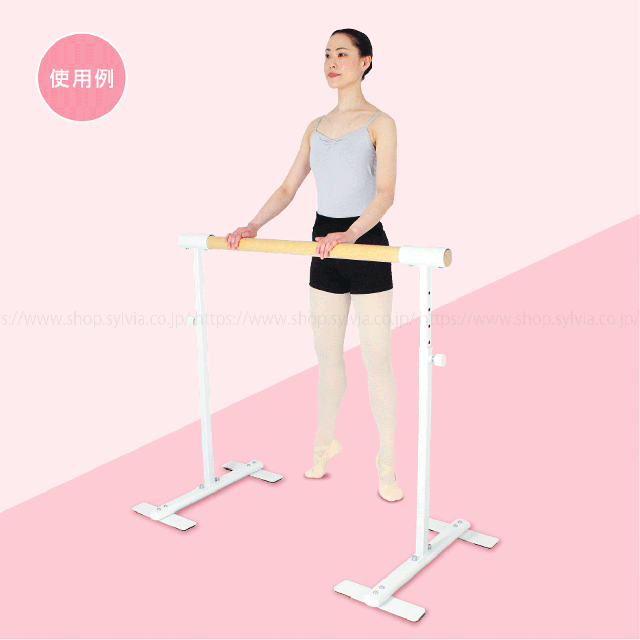 シルビア バレエレッスンスタンド（スタンド＆バー セット）送料別途