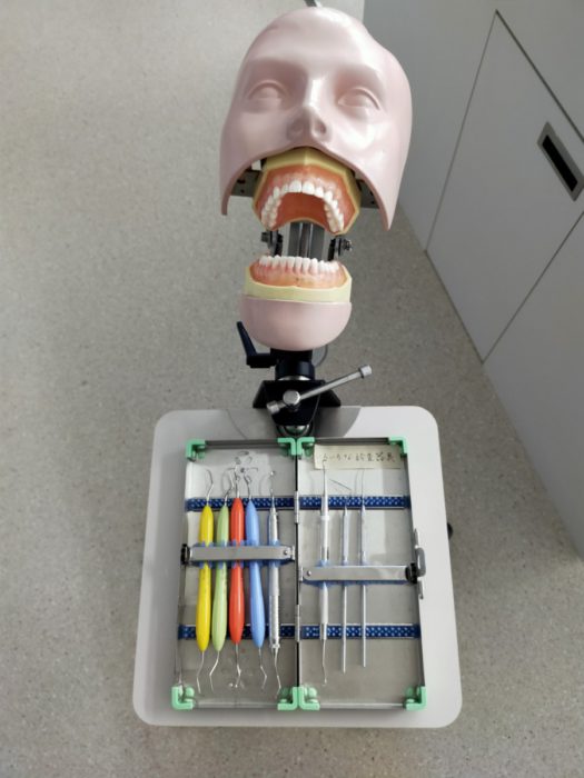 歯科衛生科 2年生 キュレット型スケーラー顎模型実習￼ - 専門学校