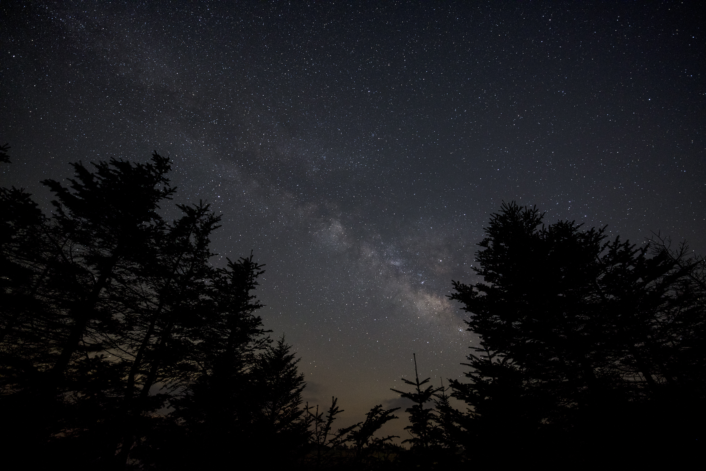 14mm F1.8 DG HSM | Art Impression | Art Impression | Artライン