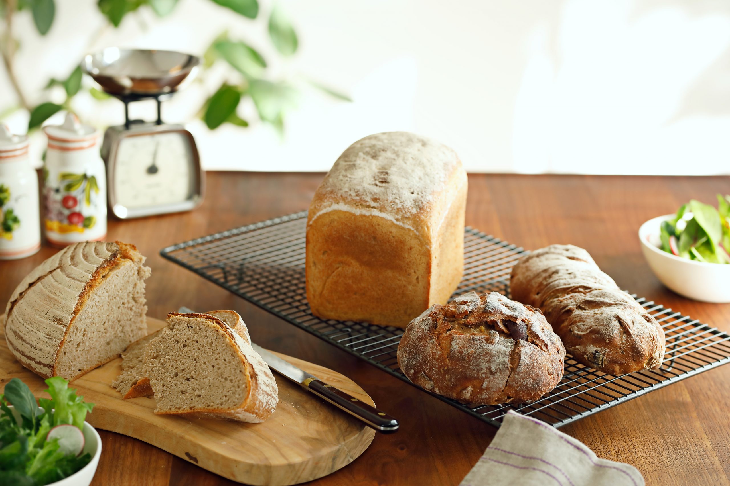 おうちベーカリー SB-1D151｜シロカ