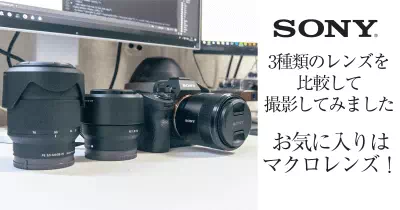 ソニー単焦点レンズSEL50F18Fのレビューと作例集 | Start Point