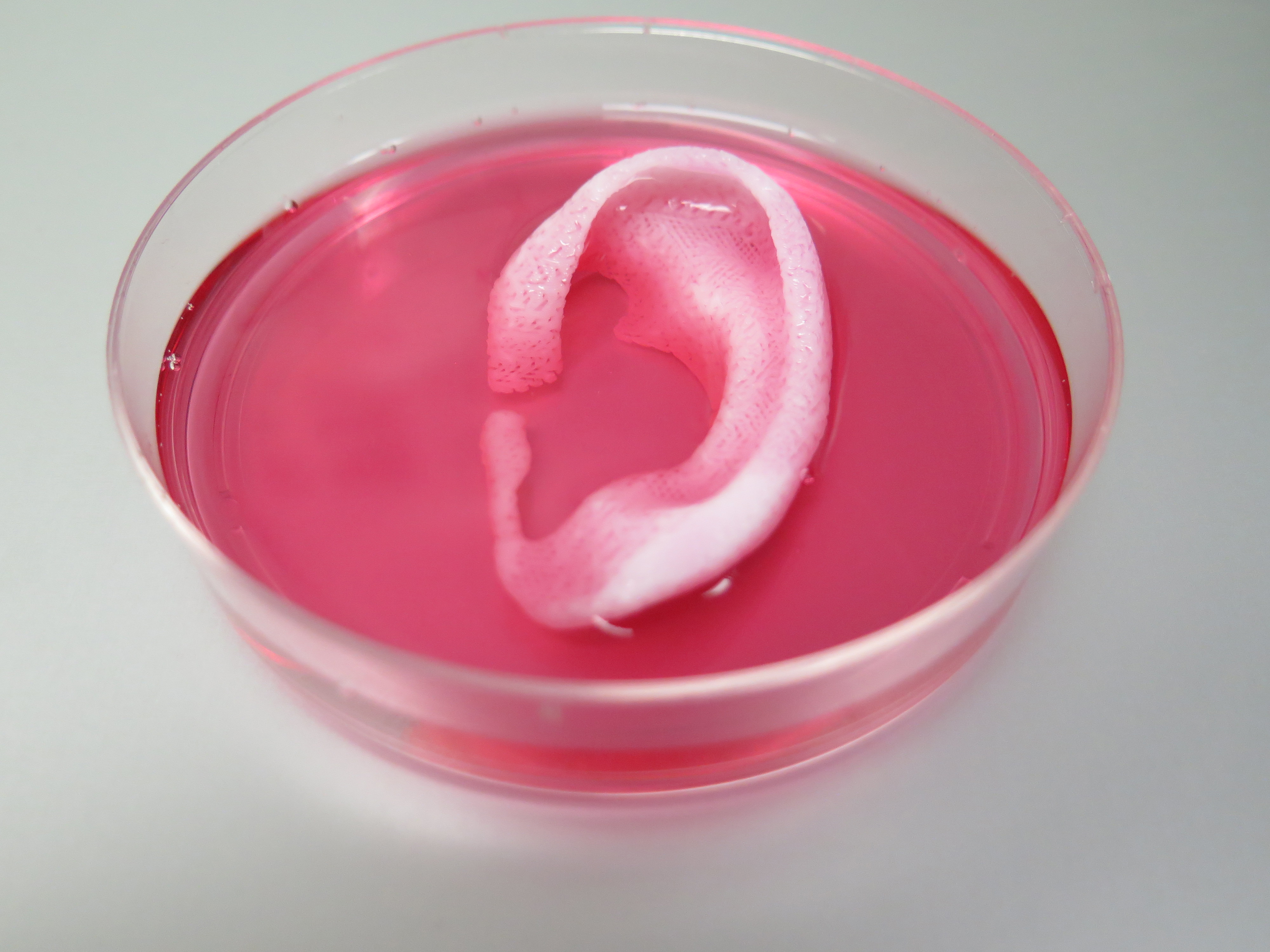The dream of 3-D-printed organs rests on keeping cells alive