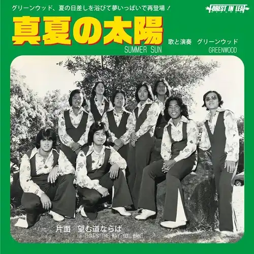 GREENWOOD (グリーンウッド) / SUMMER SUN ／ IF THAT'S THE WAY YOU