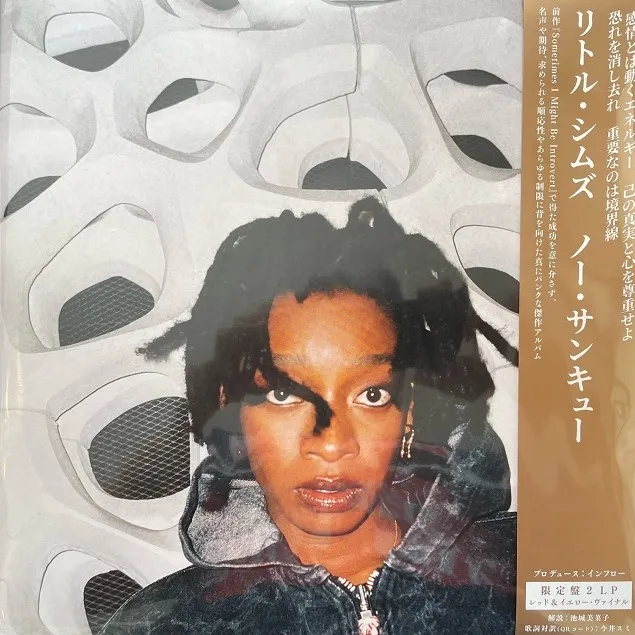 LITTLE SIMZ / NO THANK YOU (日本語帯付き) [2LP - FLO00016LPIBR