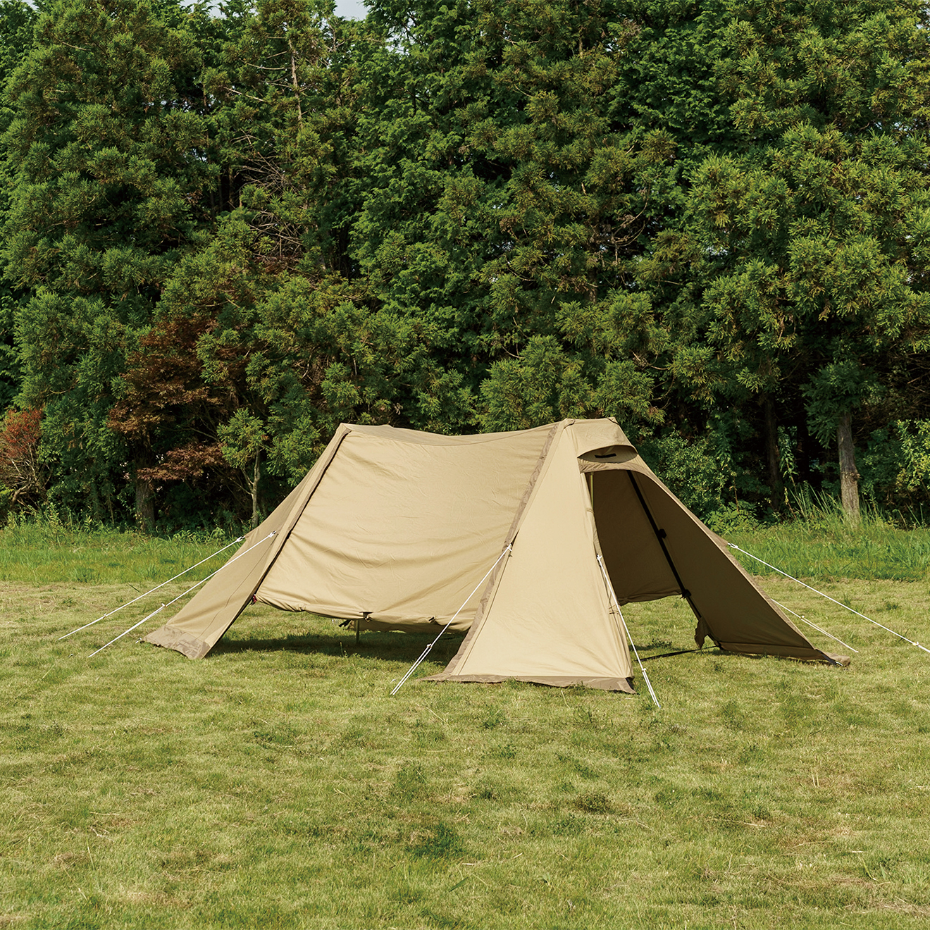 ツインクレスタS T/C / ogawa ONLINE STORE