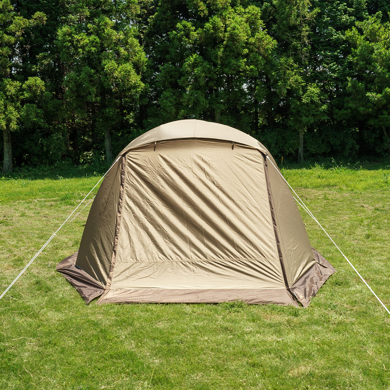 ピスタ5 / ogawa ONLINE STORE