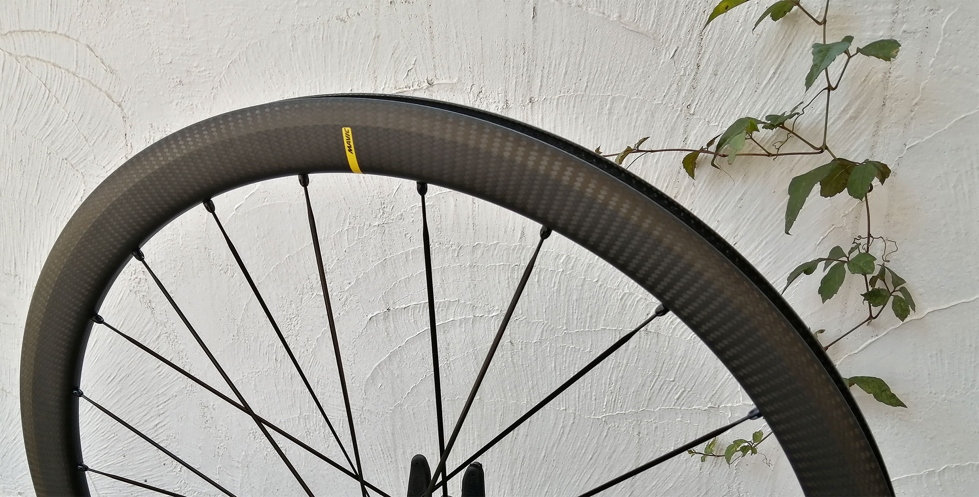 SUMMER CLEARANCE SALE！］COSMIC SLR 40【リムモデル】 | お知らせ