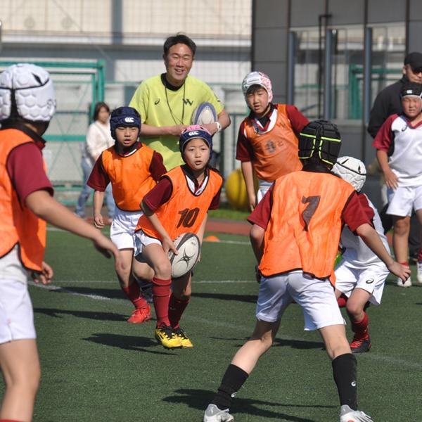 ワセダクラブ・ラグビーDiv.｜すぎなみ学倶楽部