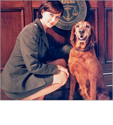 スーパー！ドラマTV 海外ドラマ：犯罪捜査官ネイビーファイル