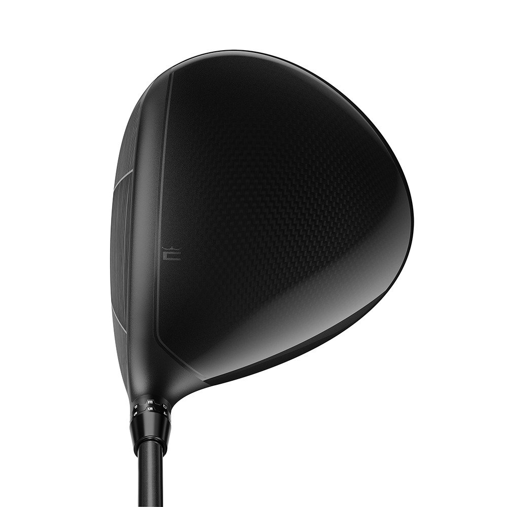 コブラ（Cobra）（メンズ）【ヘッドのみ単品】オプティム OPTM LS