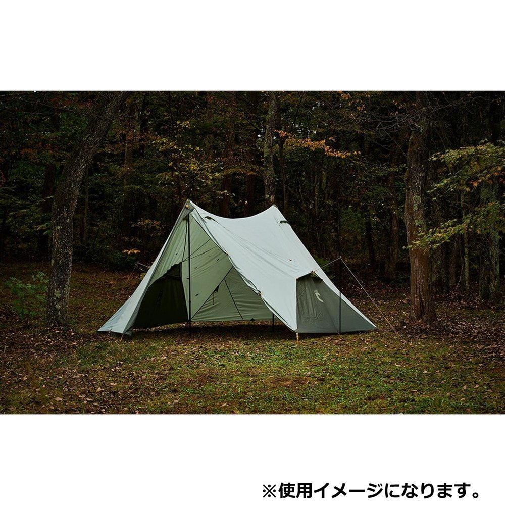 ニーモ（NEMO） 簡単設営 大型 タープ ヘキサライト 6人用 Evo 6P NM