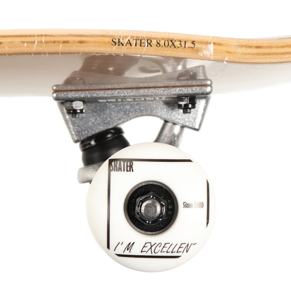 スケーター（SKATER）（メンズ、レディース）スケートボード スケボー