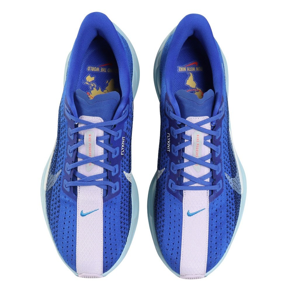 ナイキ（NIKE）（メンズ）ランニングシューズ ジョギングシューズ