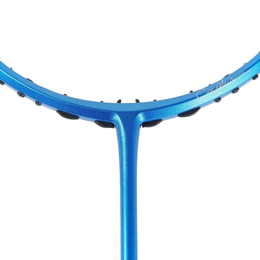 ゴーセン（GOSEN）（メンズ、レディース）バドミントンラケット