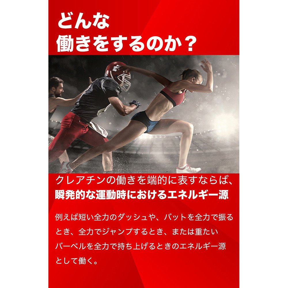 ディーエヌエス（DNS）（メンズ、レディース）IC23 クレアチン 200g