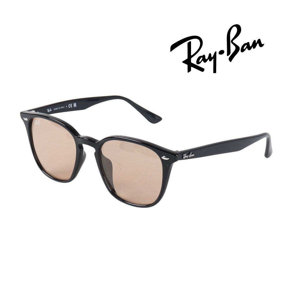 レイバン（RAY-BAN）（メンズ）サングラス CORE 4258F601/9352