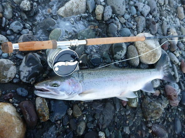 Review #2 CND 13.7 Skagit, The Smooth operator | Spey Pages