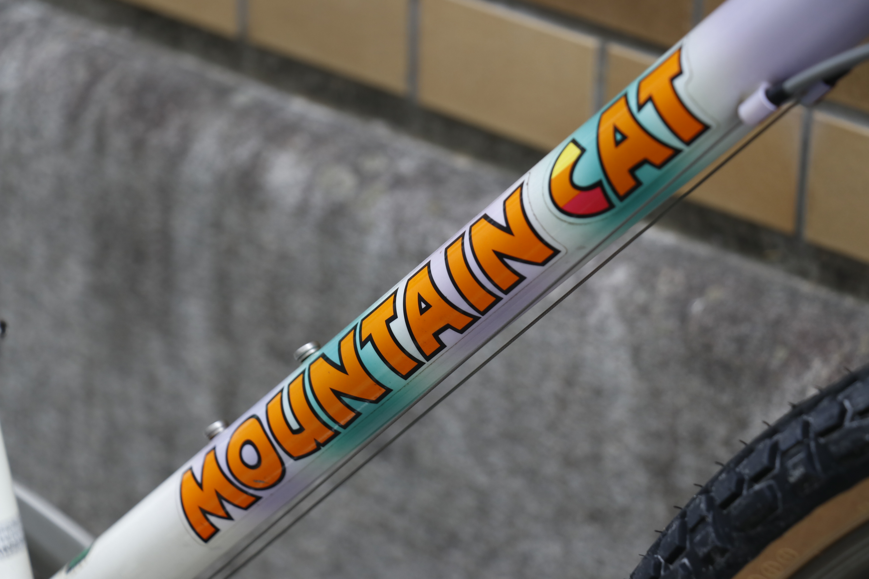 BLOG ～USED BIKE～【 MOUNTAIN CAT / マウンテンキャット by