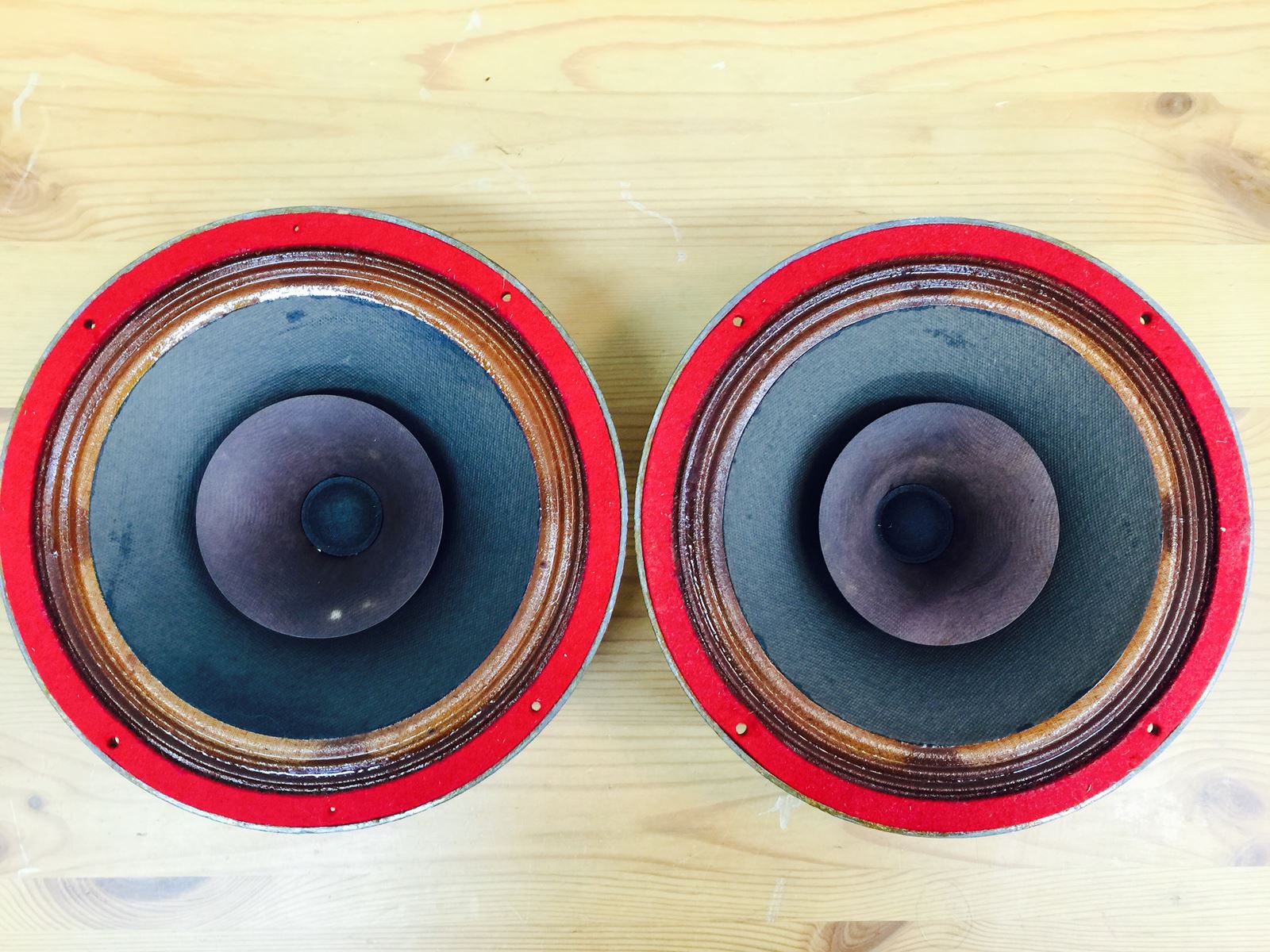 Richard Allan New Golden 8T スピーカーユニットペア | SwingAudio Shop