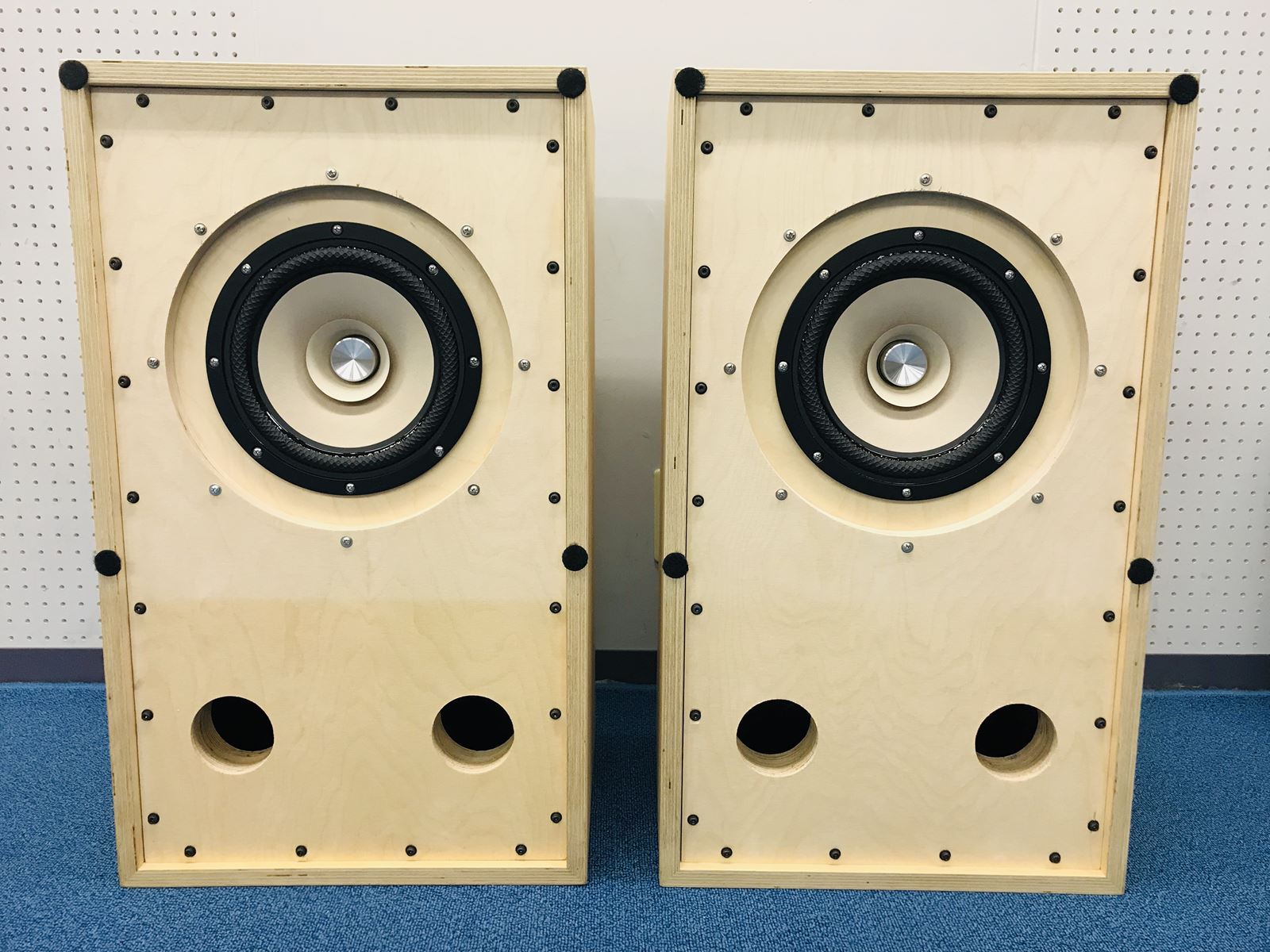 自作スピーカー TangBand W8-2145 20cmフルレンジ | SwingAudio Shop