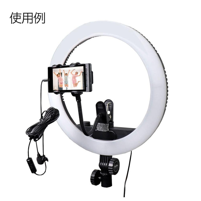 LPL L27859 ビューティー動画配信キット VLR-VS3500K - 業務用撮影