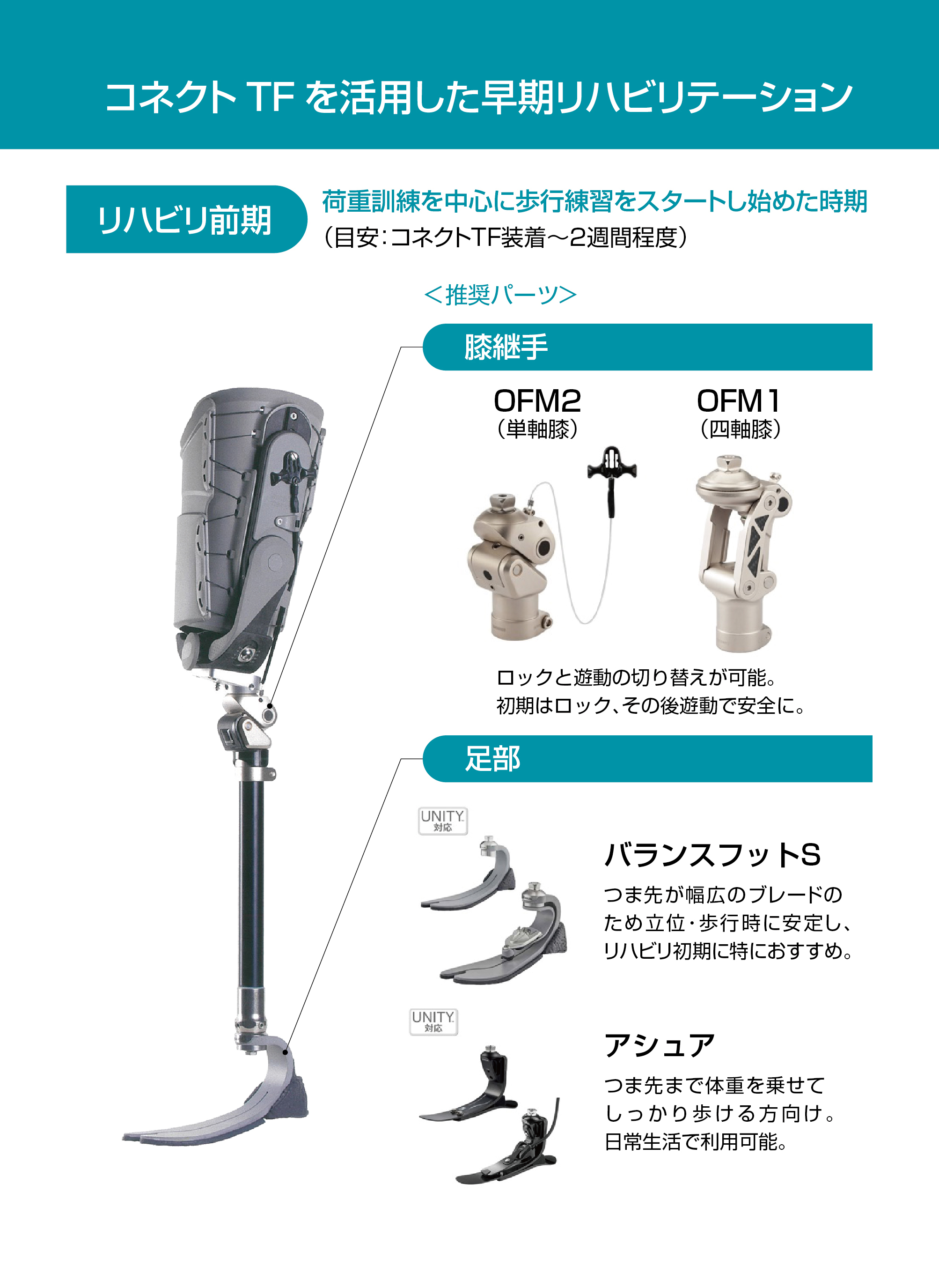 コネクトTFを使用した大腿義足の早期リハビリテーション事例