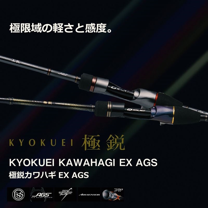 ダイワ 24 極鋭カワハギEX VS【大型商品】 - 釣具のポイント 【公式