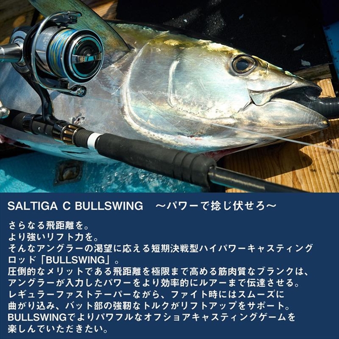 26年3月入荷予定/ご予約受付中】 ダイワ 26 ソルティガ C ブルスイング