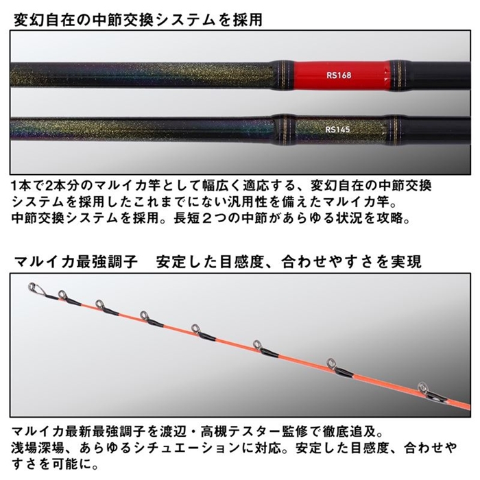 ダイワ 極鋭 マルイカ EX RS 24年モデル - 釣具のポイント 【公式