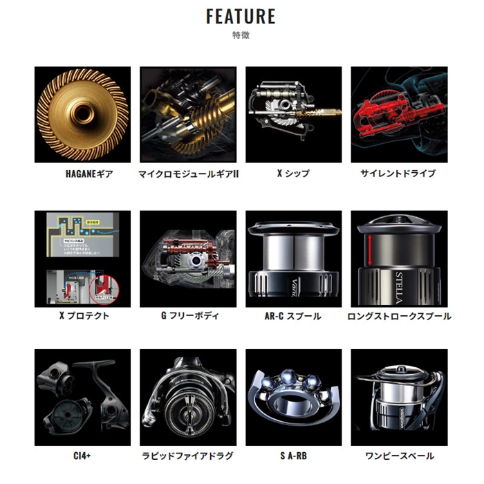 シマノ セフィア BB C3000SHG 22年モデル エギングリール - 釣具の