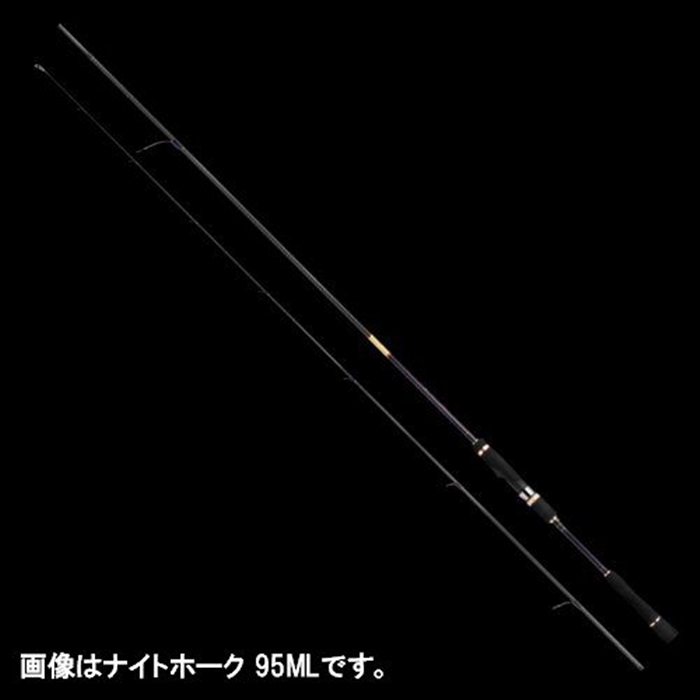 アピア Foojin'Z ナイトホーク 95ML EVAタイプ - 釣具の