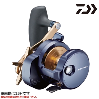 ダイワ ソルティガ 15S 右 22年モデル - 釣具のポイント 【公式