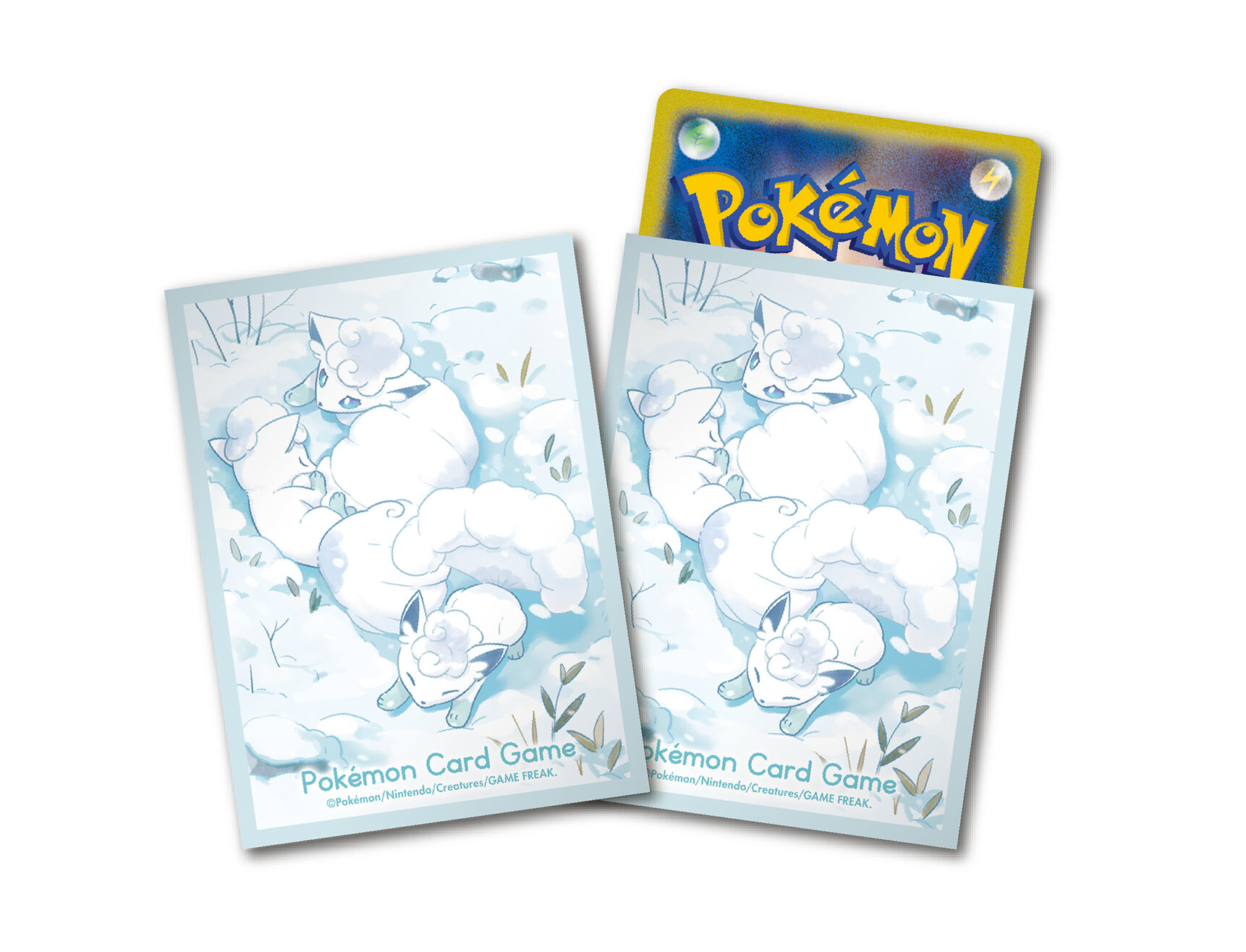 強くて美しい⁉ 周辺グッズ新商品10点をご紹介！ | ポケモンカード