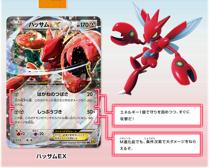 徹底解説 メガハッサムEX | ポケモンカードゲーム公式ホームページ