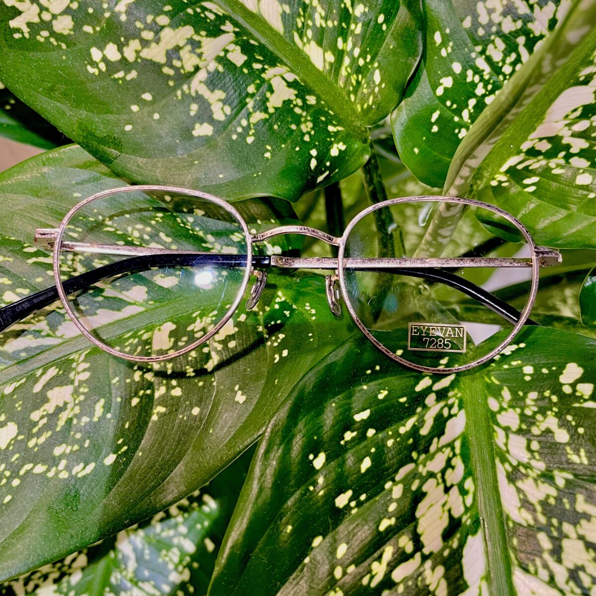 EYEVAN7285-1000 | 名古屋店 | BLOG | POKER FACE [ポーカーフェイス