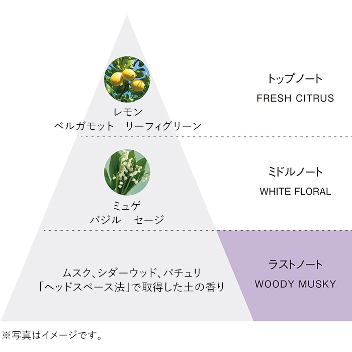 B.A グランラグゼ IV(本体 50g): 商品詳細 | ポーラ公式 エイジング