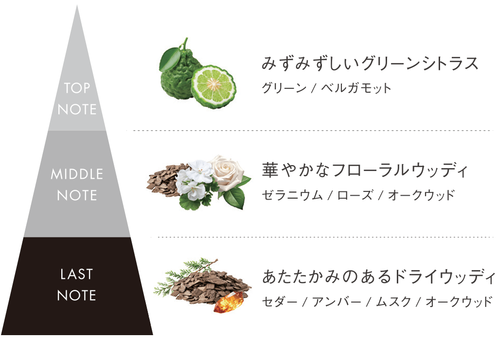 B.A クリーム 7(本体 30g): 商品詳細 | ポーラ公式 エイジングケアと