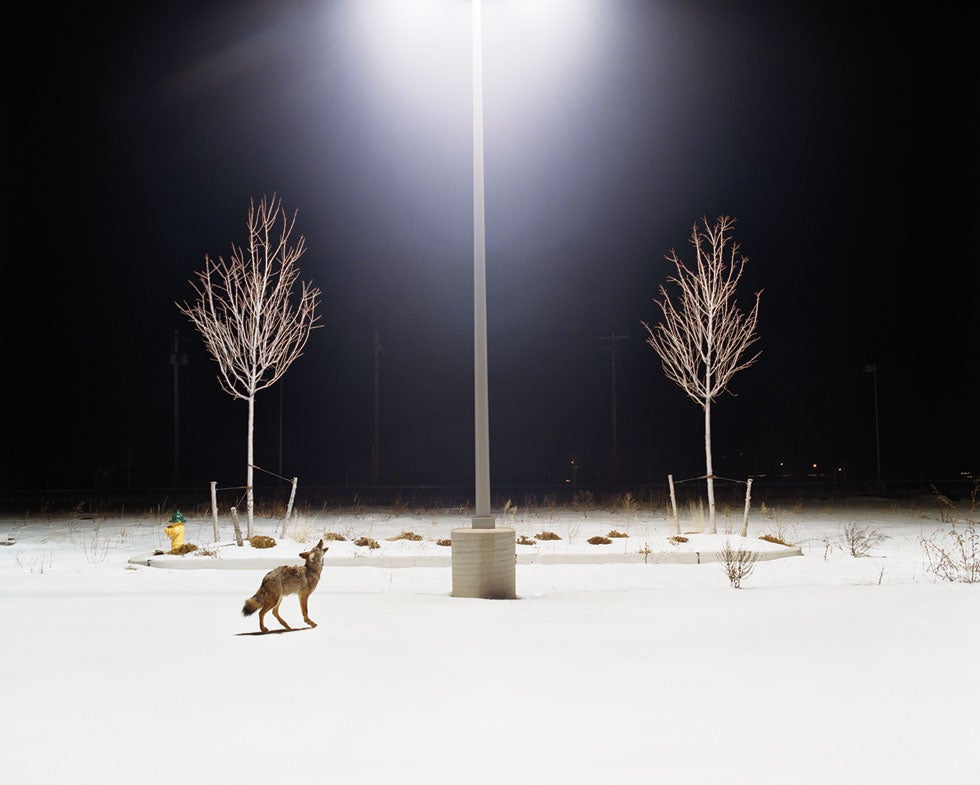 Books of the Year: Altered Landscapes | Popular Photography